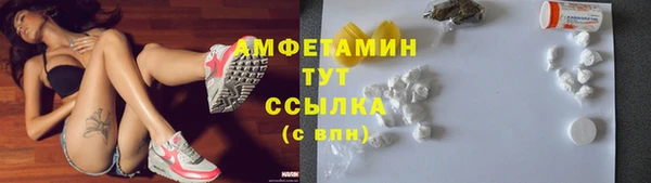 ПСИЛОЦИБИНОВЫЕ ГРИБЫ Гусь-Хрустальный